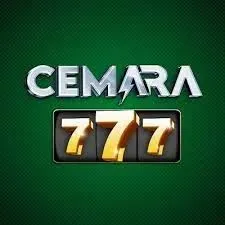 cemara777 APK QiuQiu